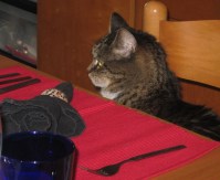 Waiting for the roast goose....