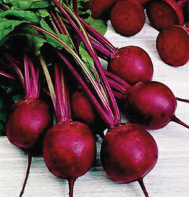 beets with tops from Johnny's Select Seeds.