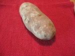 Baking potato or russet potato