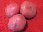 red-skinned potatoes