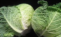 Heads of savoy cabbage