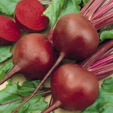 Beets image from Swallowtail Garden seeds