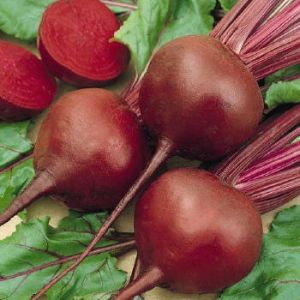 Beets image from Swallowtail Garden seeds