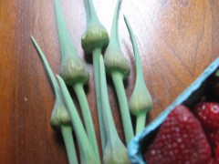 Garlic scapes lying next to a basket of strawberries