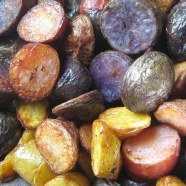 out of the oven IMG_6922 roasted potatoes--browned edges of the red, yellow and purple ones.