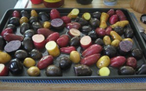 oven ready pots IMG_6897 cut and oiled potatoes on baking sheet