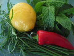 seasoning--use IMG_6910 lemon, tarragon, chives, mint, and chili peppers.