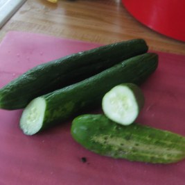 pickling and Amira cucumbers side by side