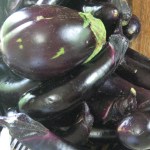 dark purple eggplant