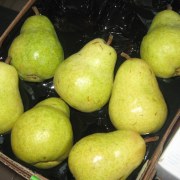 bartlett pears in case (from costco)