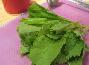 small leaves of greens