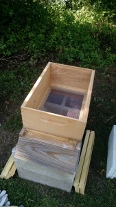 empty hive box