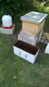closed hive and nuc box
