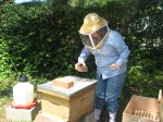 beekeeper me