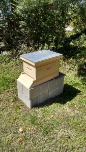 IMG_20150329_133928244_HDR