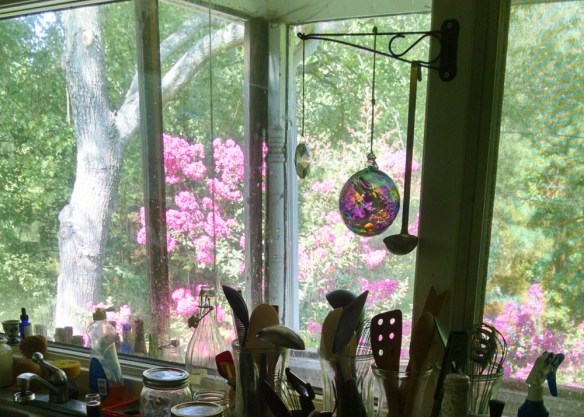 my kitchen window