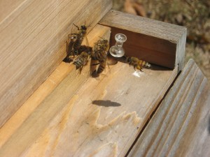 entrance reducer opening at upper edge