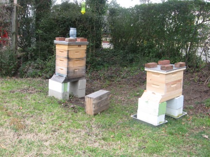 two bee hives