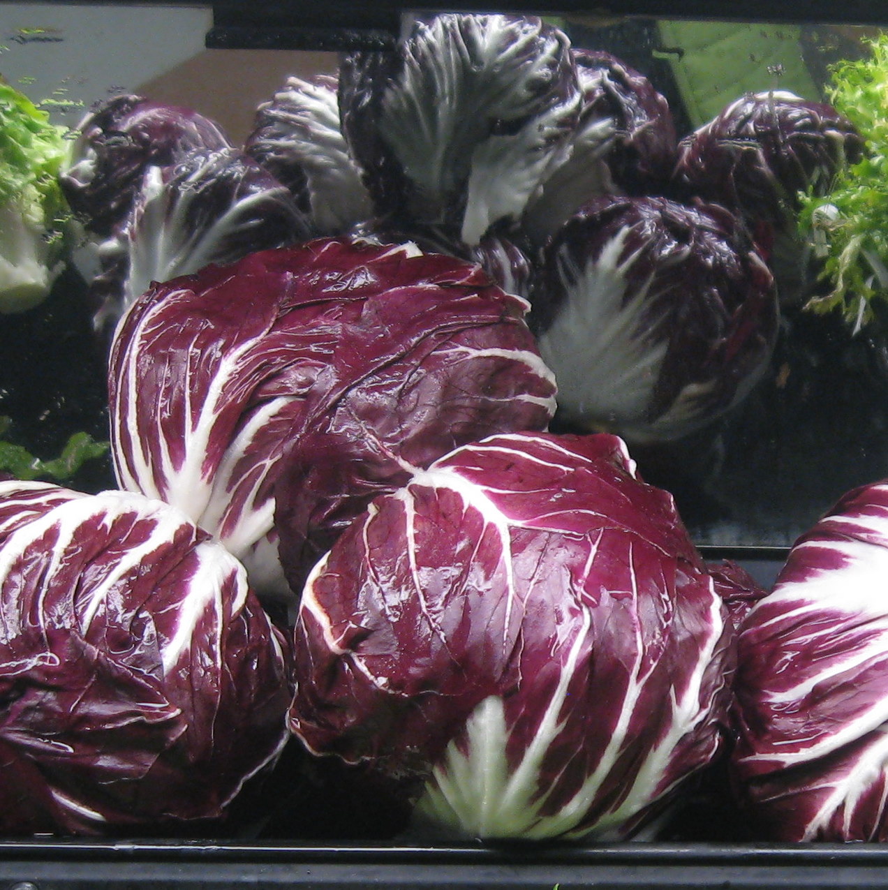 radichio, fresee, lettuce