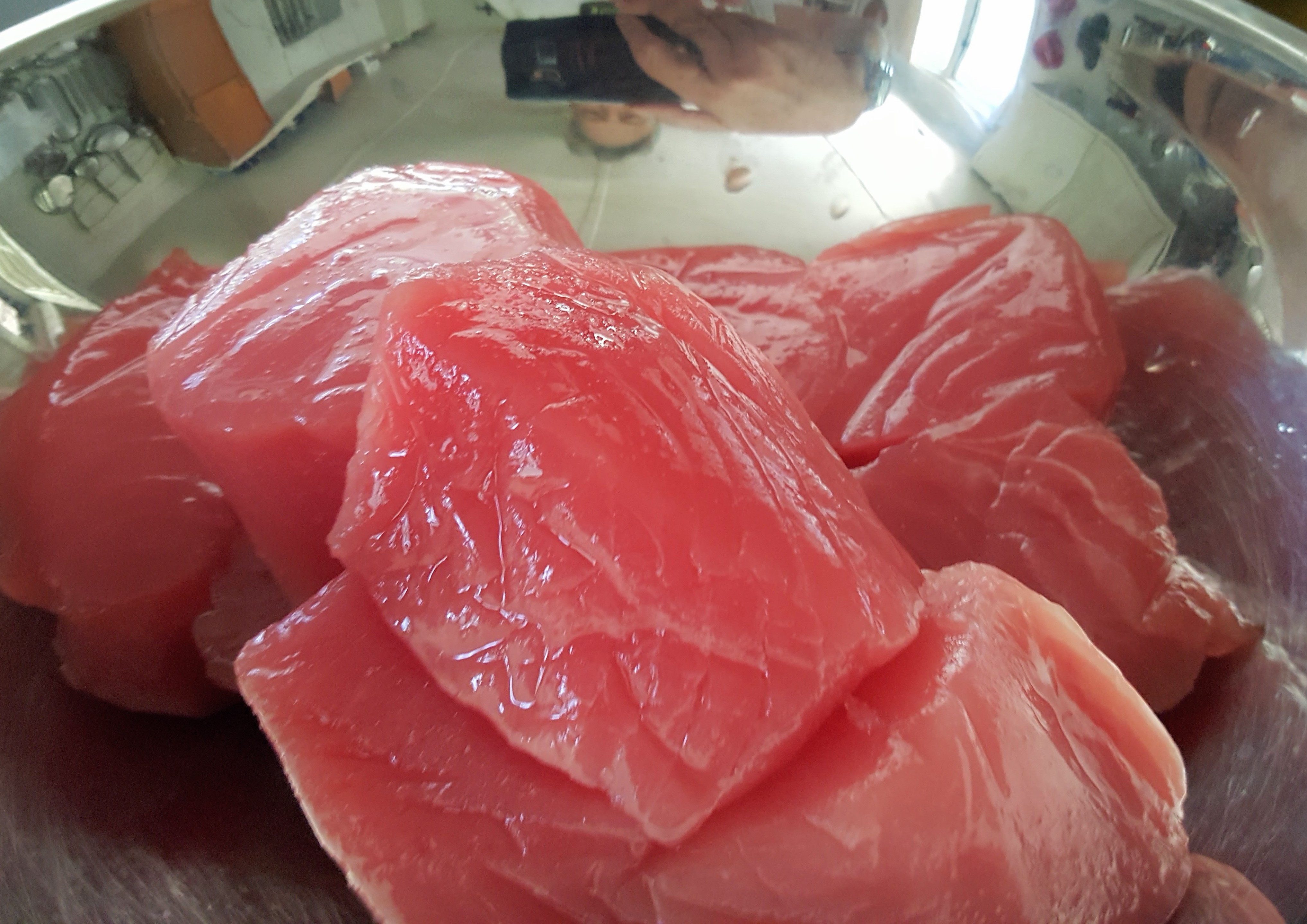 Tuna_20170709_140604