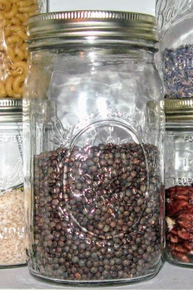 pantry-de puy lentils cropped IMG_1115